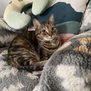 Meet your Posher, Lily